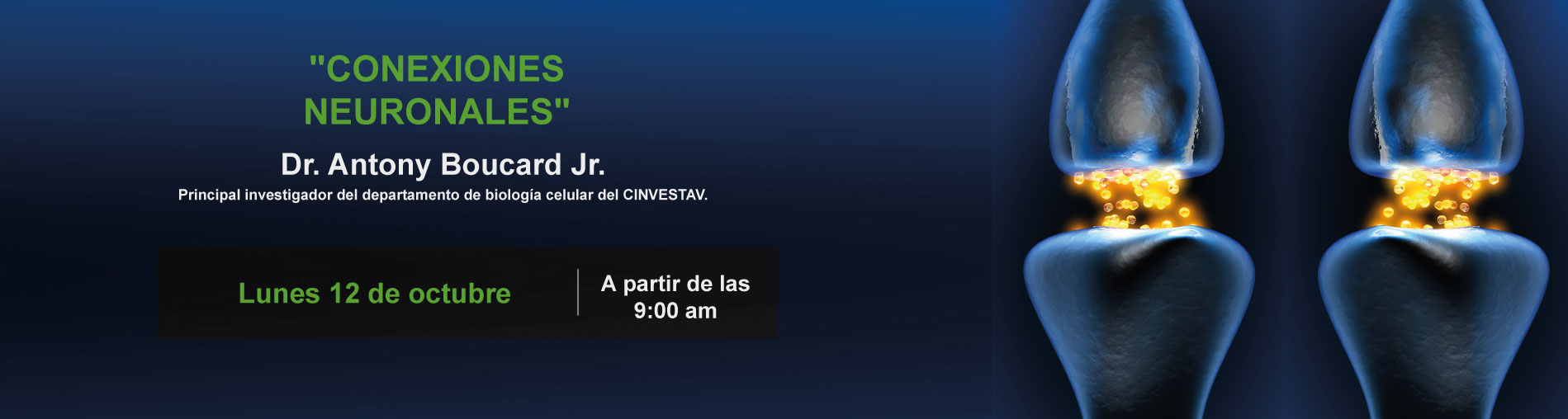 TELEVISIÓN OBJETIVA